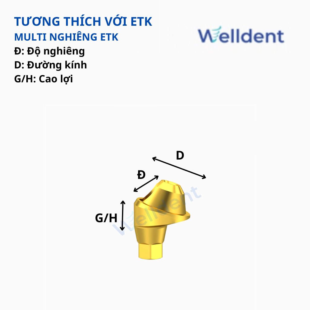 Multi Abutment Nghiêng 17, 30 độ – Tương thích với ETK Implant System