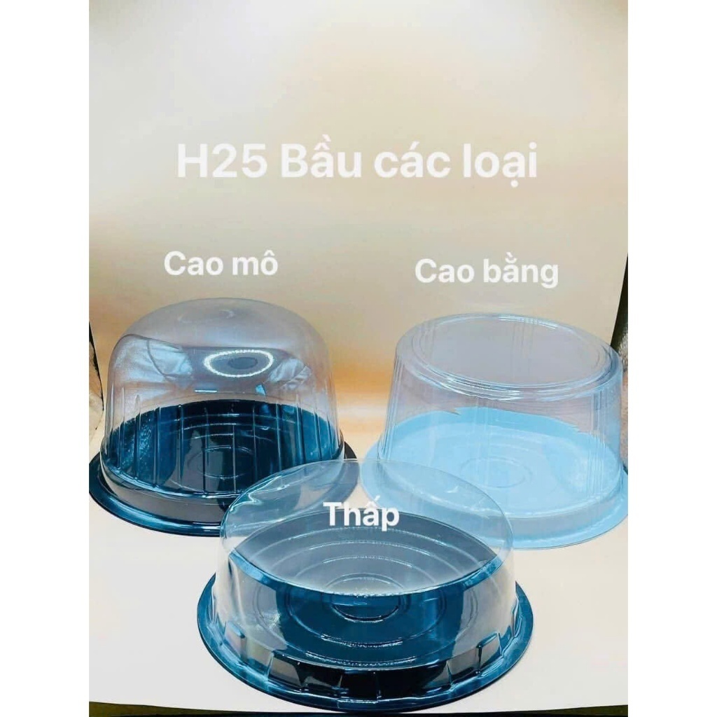 HỘP NHỰA H25 ĐỰNG BÁNH (NẮP THẤP/ NẮP CAO/ NẮP BẦU) (SÉT 100 HỘP)