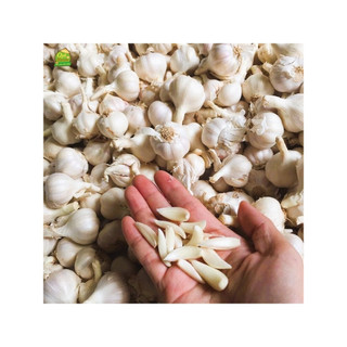 Tỏi Lý Sơn -250g-  giúp kích thích vị giác, giúp cho các món ăn có hương vị thơm ngon và đậm đà hơn