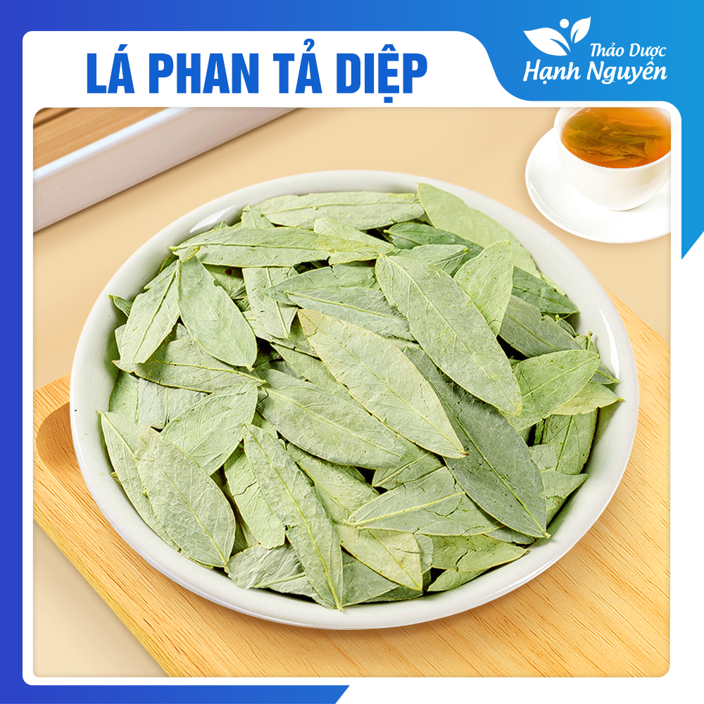 Lá phan tả diệp 100g, hàng khô, sạch, hỗ trợ giảm cân, táo bón, giải độc gan hiệu quả