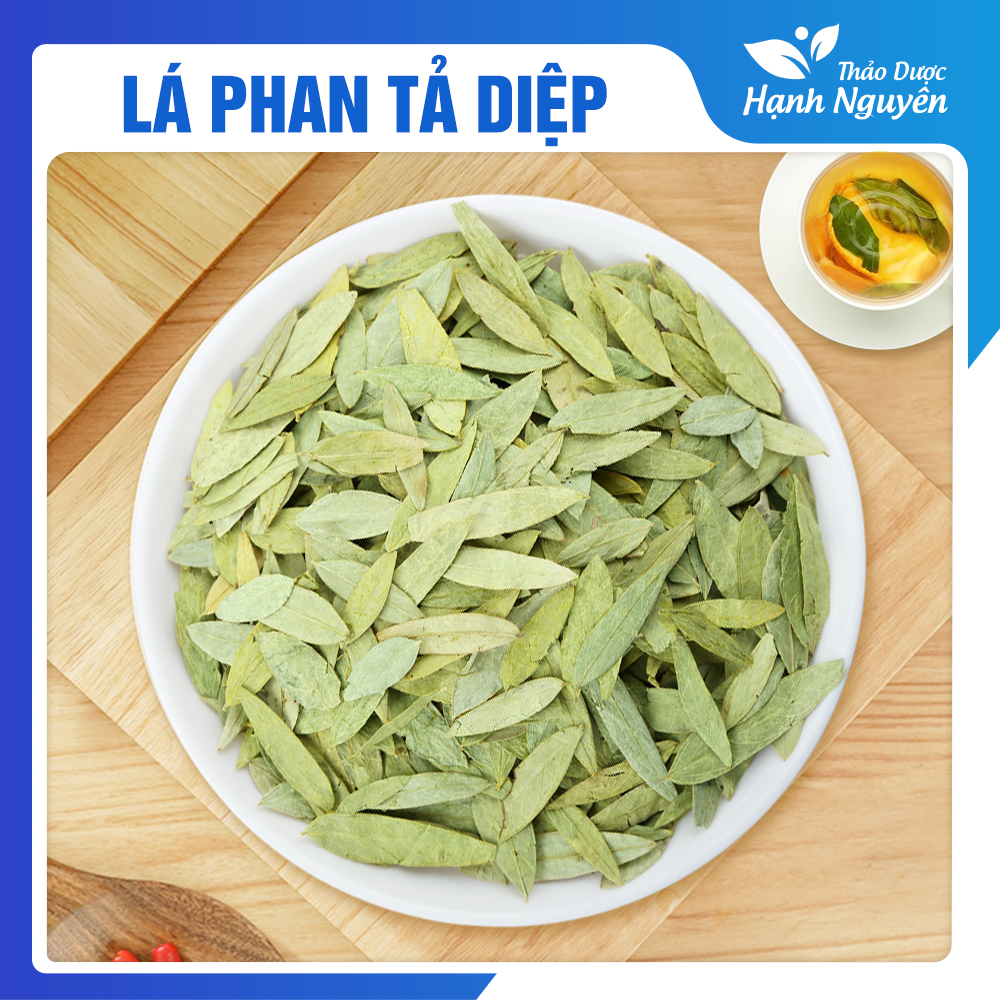 Lá phan tả diệp 500g, hàng khô, sạch, hỗ trợ giảm cân, táo bón, giải độc gan hiệu quả