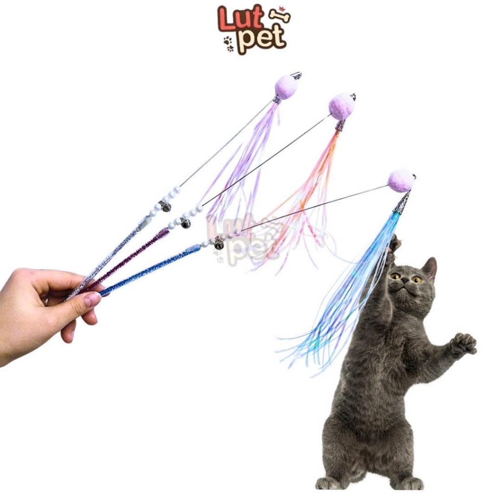 Cần câu cho mèo, cây phất trần, đồ chơi cho mèo - lutpet