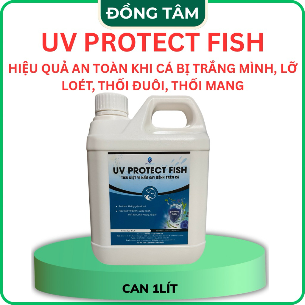 UV PROTECT FISH TIEU DIET VI NẤM GÂY BÊNH TRÊN CÁ