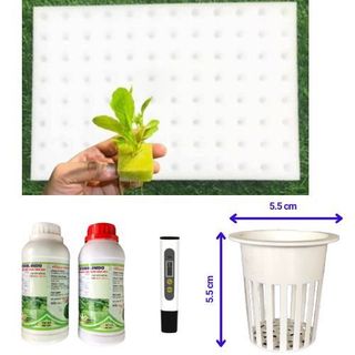  Mút xốp dd dinh dưỡng và phụ kiện trồng rau thủy canh mút xốp ươm hạt chuyên dụng mỗi tấm 96 viên có lỗ gieo hạt 