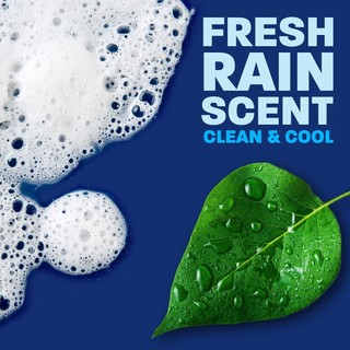 Nước rửa chén Dawn Ultra Platinum Advanced Power, 2.66L