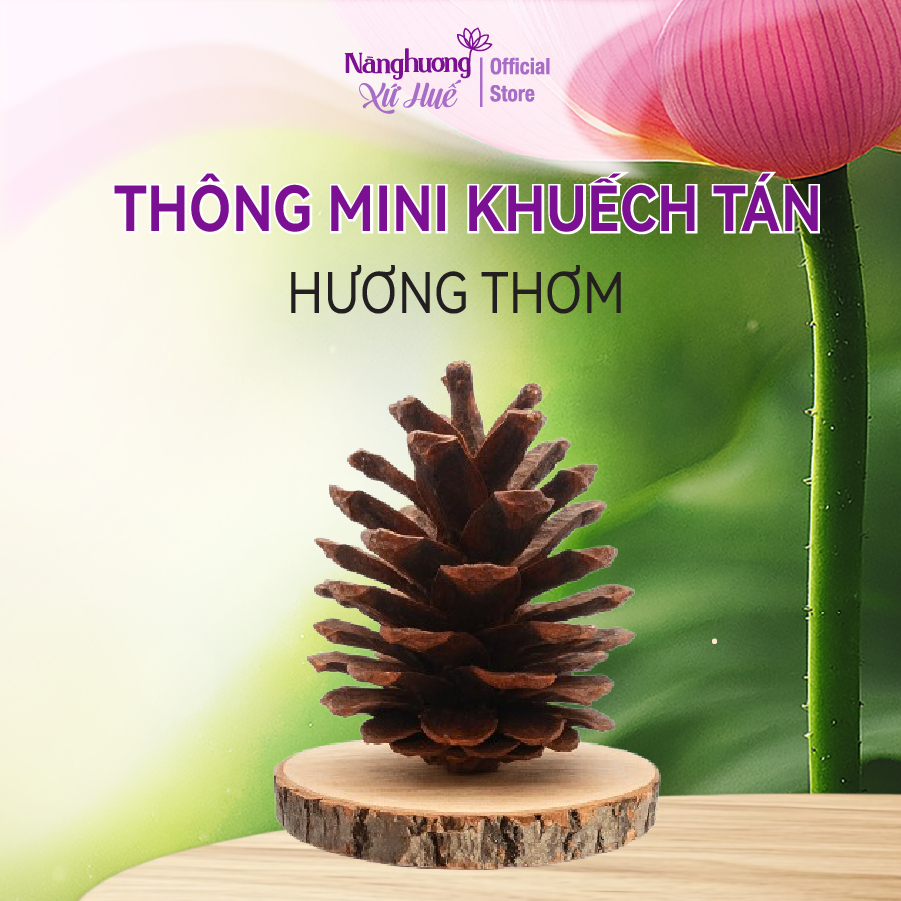 Cây Thông Khuếch Tán Xông Tinh Dầu Treo Thơm Khử Mùi Phòng ABURA