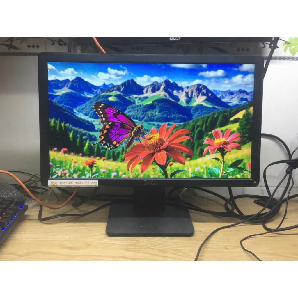 Màn hình máy tính Dell E1914Hf 18.5" trầy hàng chính hãng