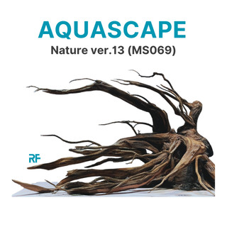  Layout Nature ver.13 tiểu cảnh trang trí bể cá mini kích thước 30x20x20cm phong cách biotop  Ms069  
