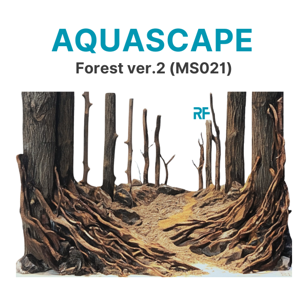 Layout Rừng Thẳng ver.2 dùng trang trí bể cá nhỏ kích thước 30x20x20cm (Ms021)