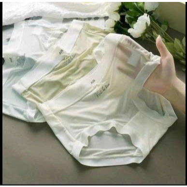 Combo 10 Quần Lót Nữ Chất Su Lụa Ventilasion Air Mát Mềm Mịn Size 40-70kg Nữ Voi có táchlẻ 5 quần