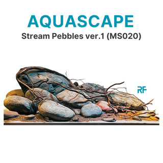  Layout Bể Cá Thủy Sinh Mini - Mẫu Cuội ver.1  Ms020  - Setup Sẵn Cho Bể 30-40cm - Richfish Aquarium 