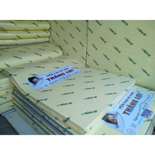  Nệm cao su non   cs tổng hợp   THẮNG LỢI chính hãng bh 15 năm đầy đủ team QR 