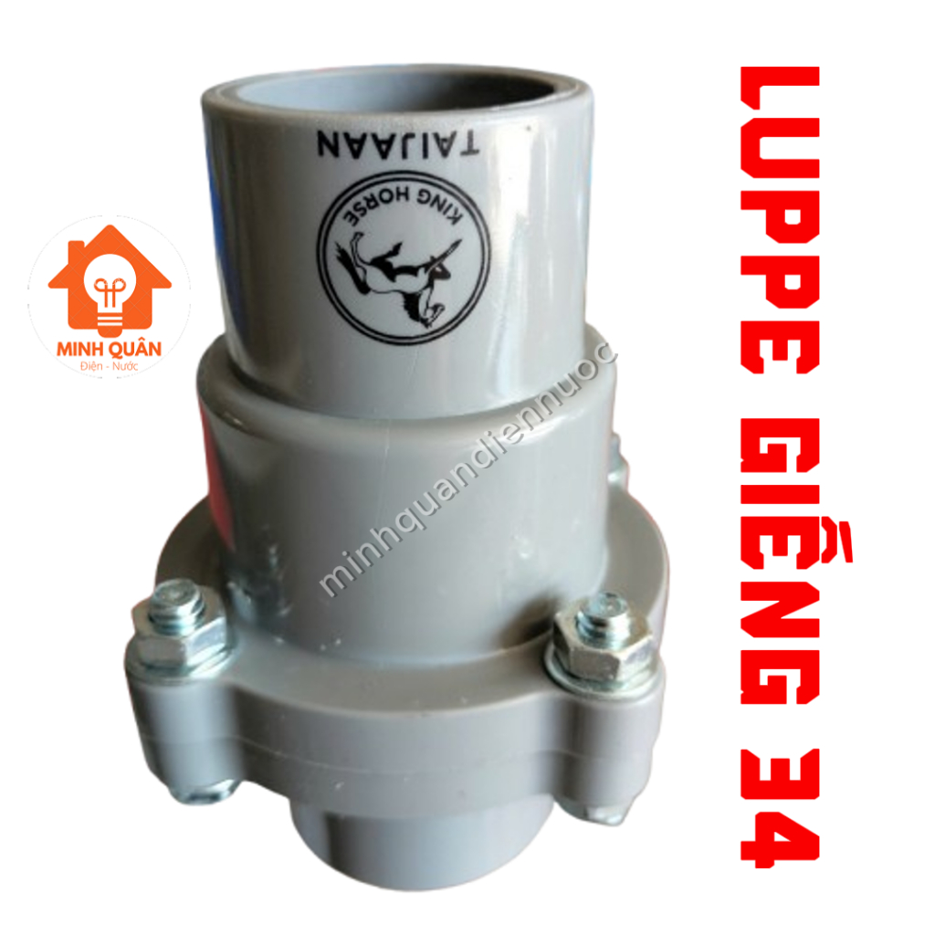 Luppe giếng khoan, luppe 1 chiều, van 1 chiều lò xo 4 ốc phi 34 TAIJAAN