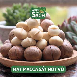  Hạt Macca Lâm Đồng Size A 500g – Sấy Lạnh Cao Cấp Nhà Trồng Di Linh Béo Bùi Cam Kết Không Hôi Dầu | Nông Sản Sạch 