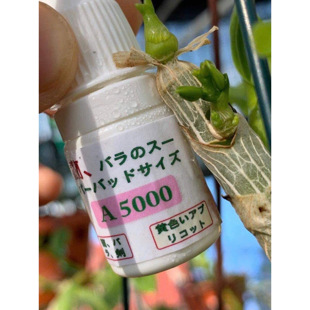 siêu kích hoa A5000 lọ 5ml kích chuẩn khuôn bông , đạt hiệu quả cao