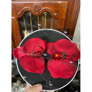 Cài tóc cô dâu, tóc tiệc, tóc bà sui nhiều mẫu lựa chọn HC299
