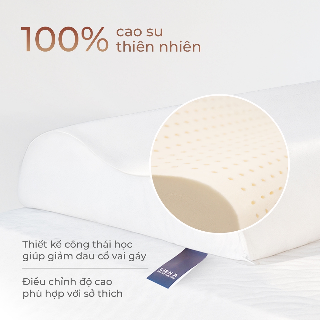 Gối Cao Su Lượn Sóng Contour Liên Á Đạt Chuẩn ECO An Toàn, Thiết Kế Công Thái Học Nâng Đỡ Êm Ái | BigBuy360 - bigbuy360.vn