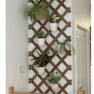  Giàn gỗ treo tường - Hàng rào gỗ trồng cây hoa treo hoa trang trí ban công sân thượng decor sân vườn 