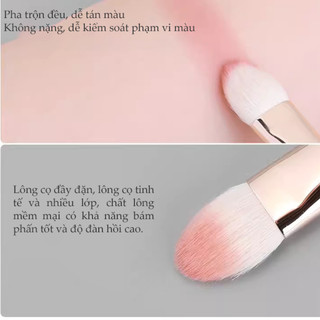 Bộ cọ trang điểm mắt cao cấp kèm túi MSQ 8 cây Bee Joint
