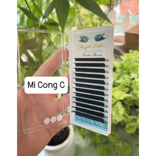 MI KHÂY 007 C-CC-D
