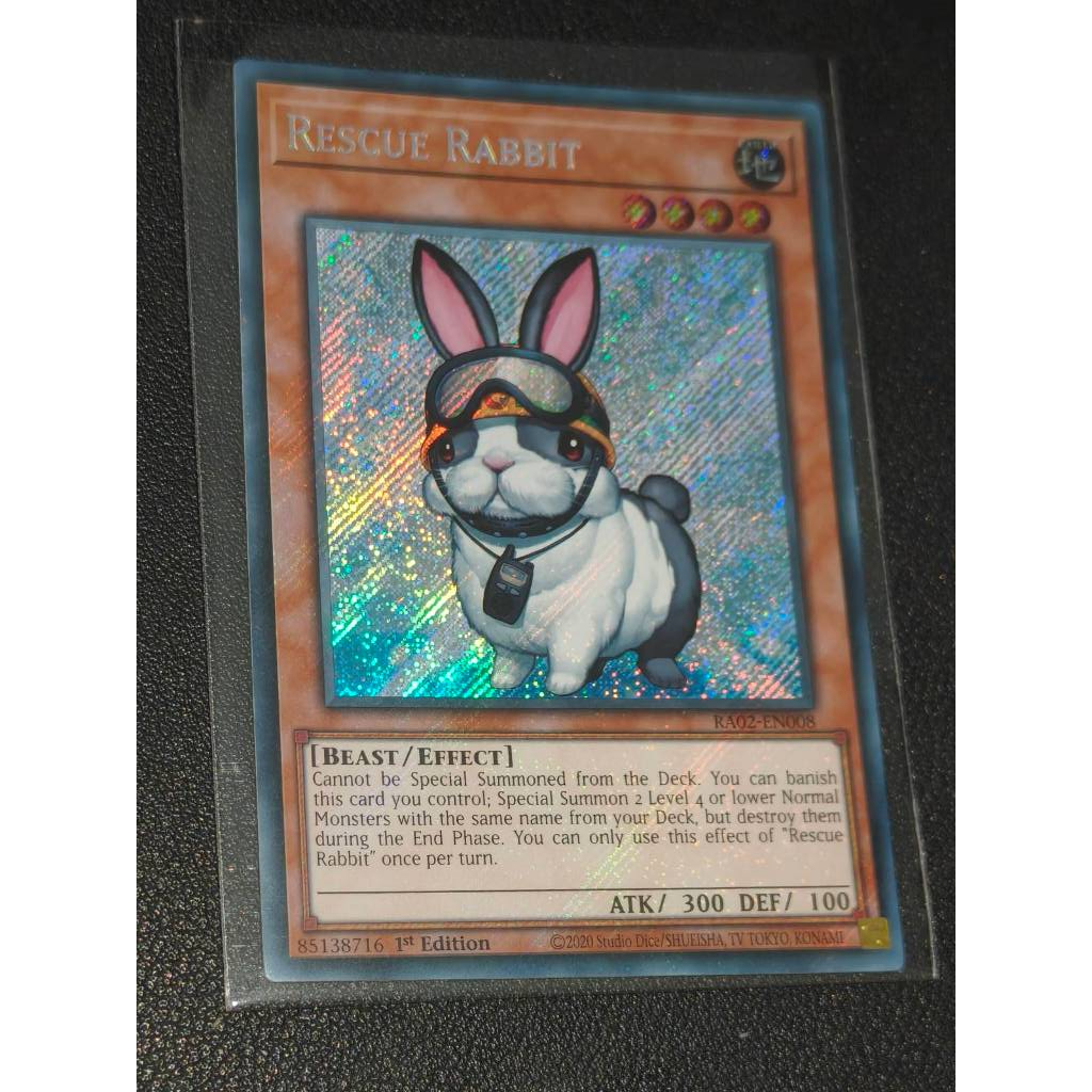 RA02-EN008 Rescue Rabbit – Secret