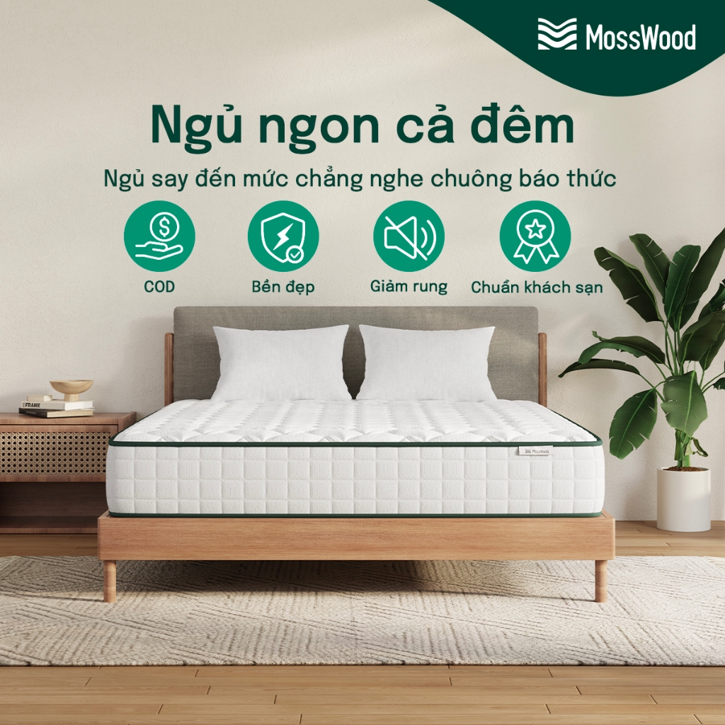Mosswood 20cm Nệm Foam  Lò xo túi độc lập, giảm tiếng ồn, hỗ trợ cột sống