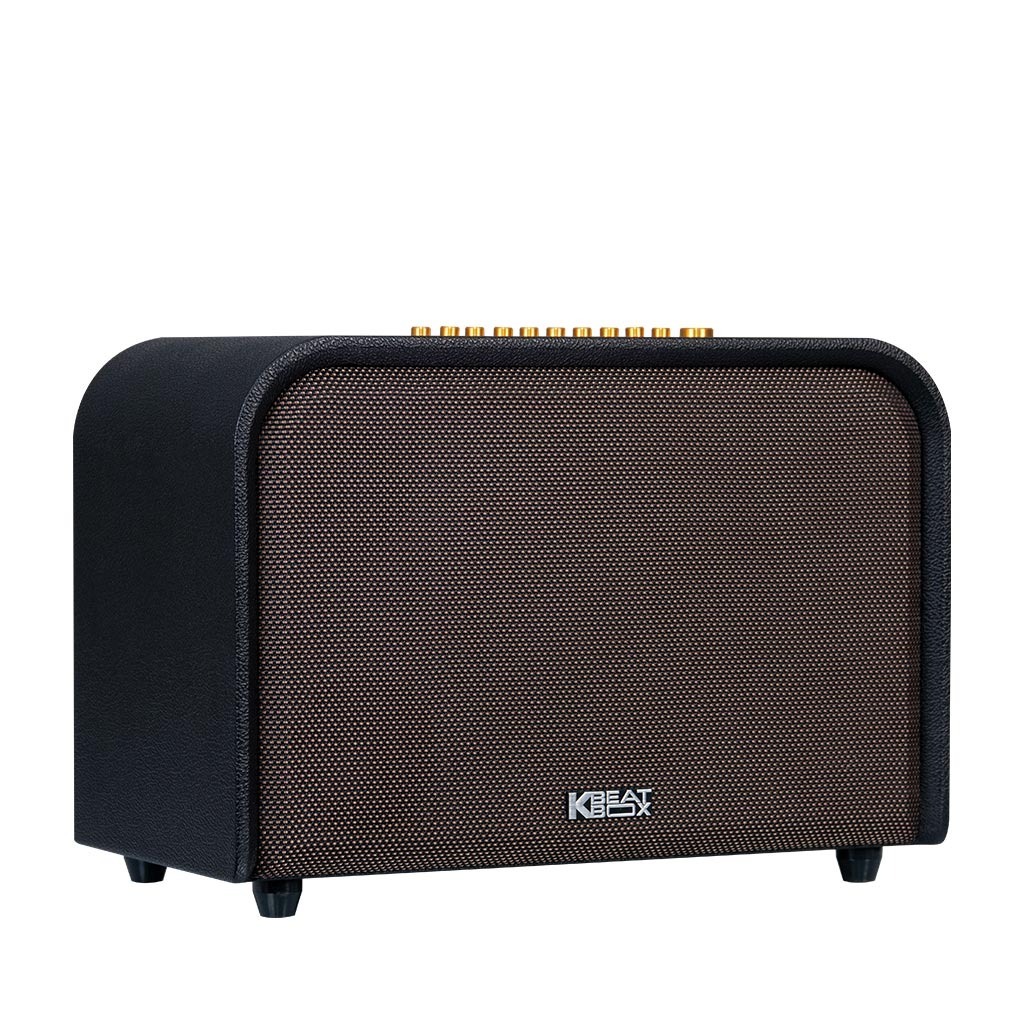 Loa Karaoke Di Động ACNOS ACOUSTIC 3 Chính Hãng - 220W Bass Sub 25cm, Bảo Hành 12 Tháng, 1 Đổi 1 Trong 30 Ngày | BigBuy360 - bigbuy360.vn