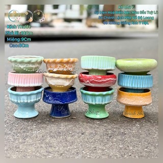  Lẻ 1 Chậu Ly Nhỏ trồng sen đá xương rồng chậu cây cảnh.ĐTH-Ly 