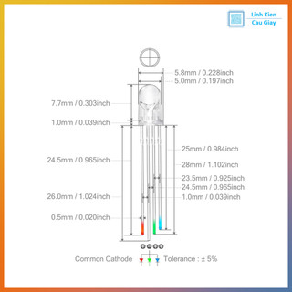 Led 5mm RGB siêu sáng Chung Katot / Anot