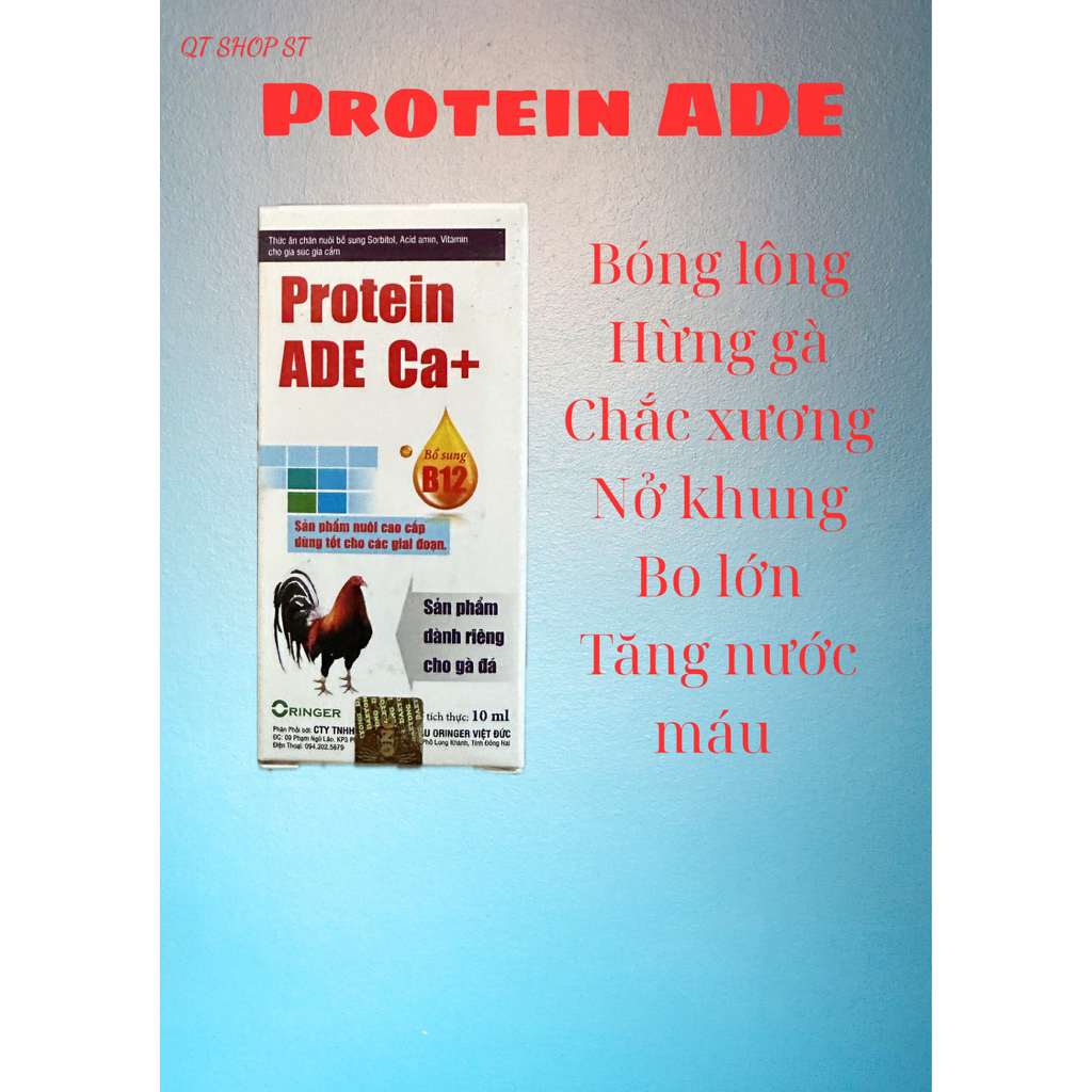 Protein ADE 10ml dinh dưỡng cho gà mọi lứa tuổi