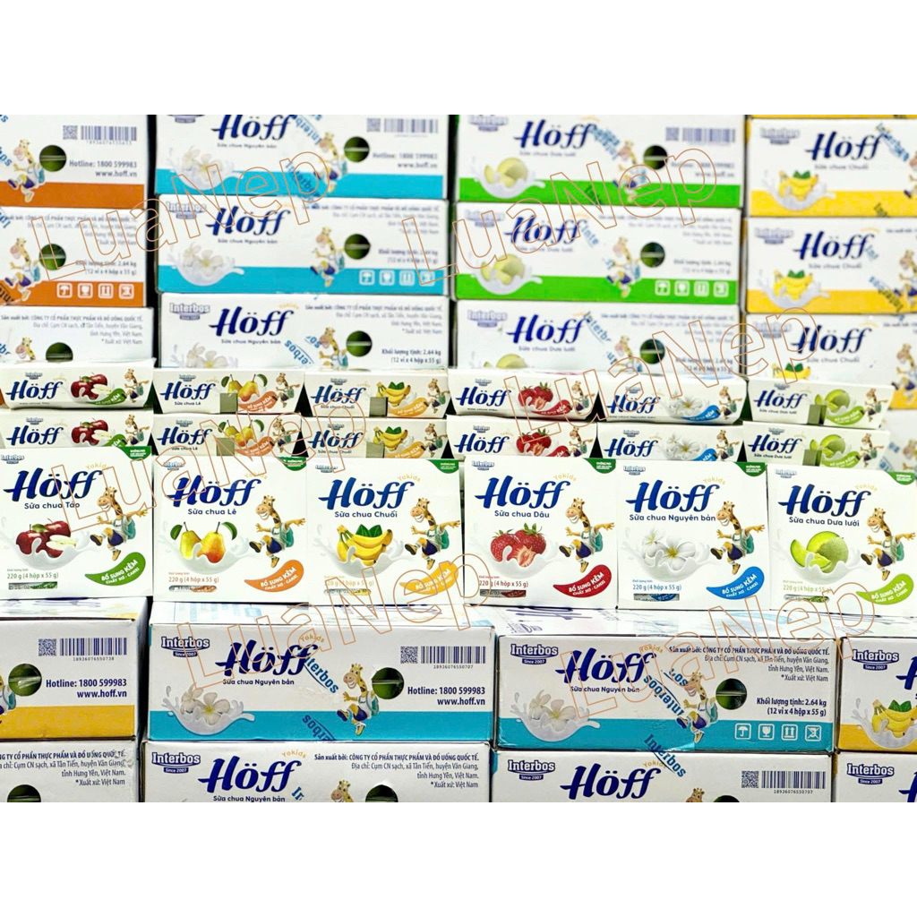 SỮA CHUA TRÁI CÂY HOFF 55g
