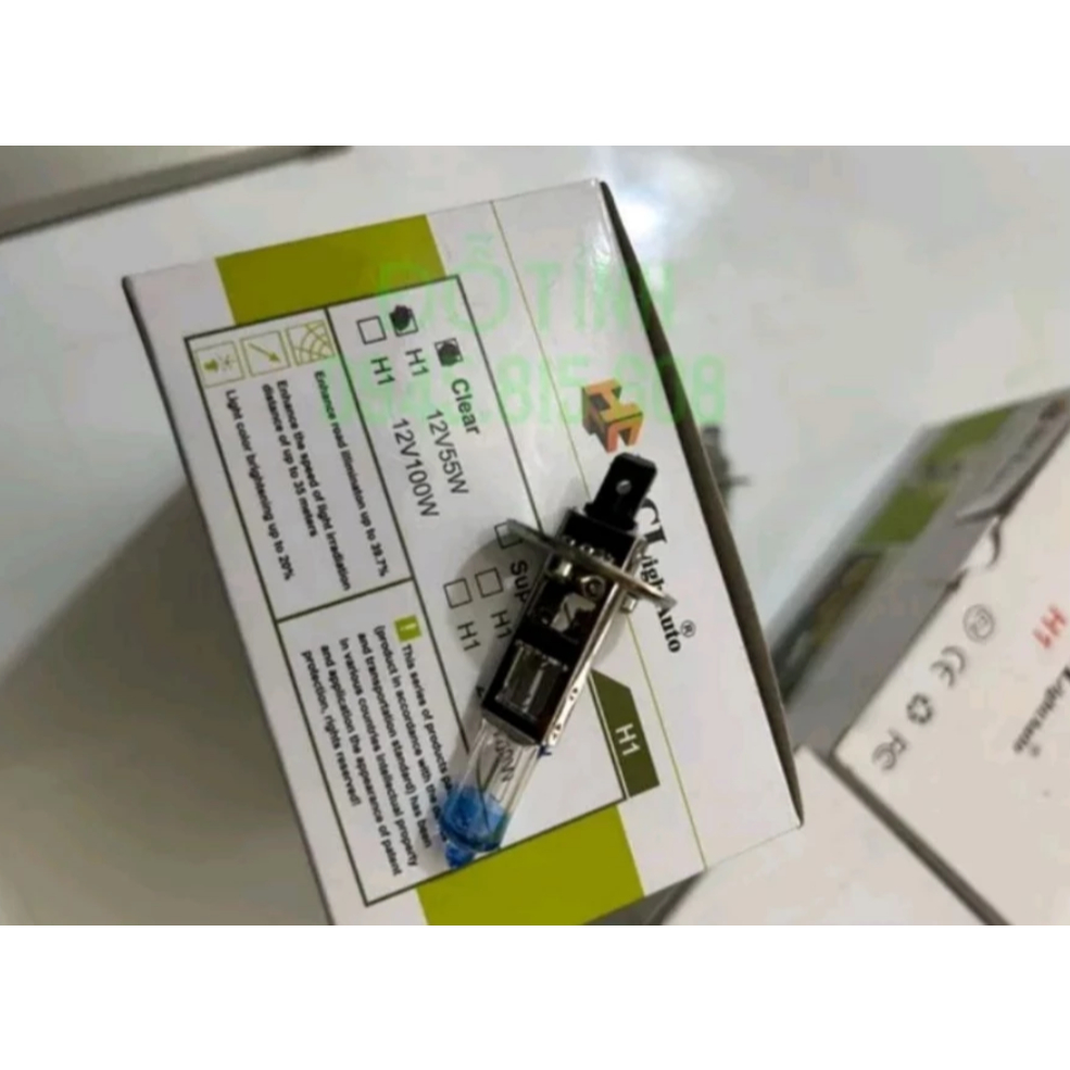 Bóng đèn Halogen con cú H1 hai loại 12V/ 24V