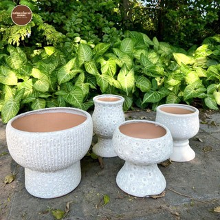 Chậu trồng cây gốm sứ Bát Tràng men sôi trắng đã khoan lỗ, chậu gốm men atlantis cắm hoa lan decor