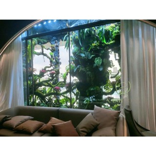 lũa rễ rừng set bán cạn, tiểu cảnh, lũa rễ set terrarium, lũa sợi nhỏ mềm dẻo