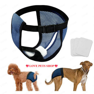 Quần sinh lý cho Chó mèo bằng vải lưới xốp mềm mại, thoáng mát - Love Pets Shop