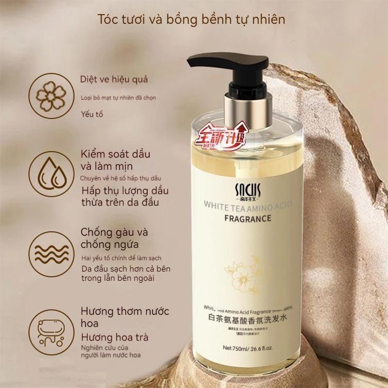 【MUA 1 TẶNG 2】Dầu Gội Amino Acid Trà Trắng - Kiểm Soát Dầu & Thơm Mát Suốt Ngày&Tóc Mượt Bồng Bềnh Q
