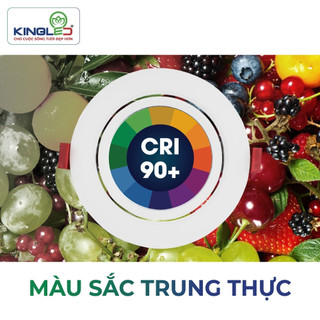 Đèn LED Âm Trần Chiếu Rọi OPAL (DLR-SS Series) - KINGLED (Hàng Chính Hãng)