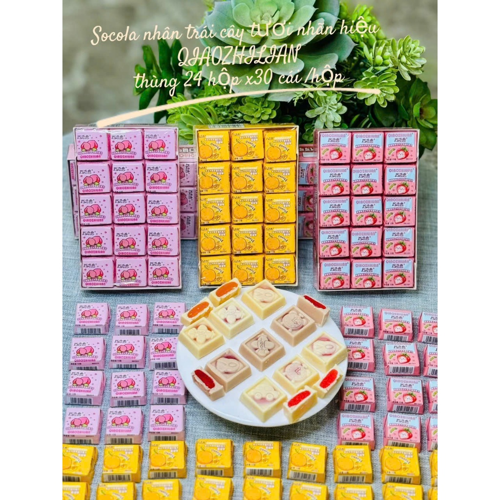 [Hàng mới] Combo 500g Kẹo socola Qiaozhilian/Socola trái cây nhiều hương vị/Kẹo socola nhân hoa quả 