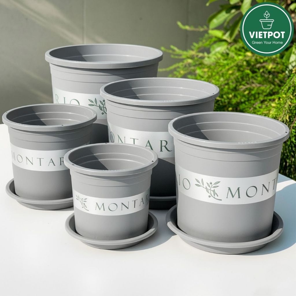 Chậu nhựa trồng cây VIETPOT, màu XÁM Montario, trồng hoa, kiểng lá, để nhà, sân vườn, ban công.