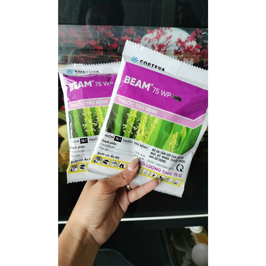 BEAM 75WP (Corteva)- 75g