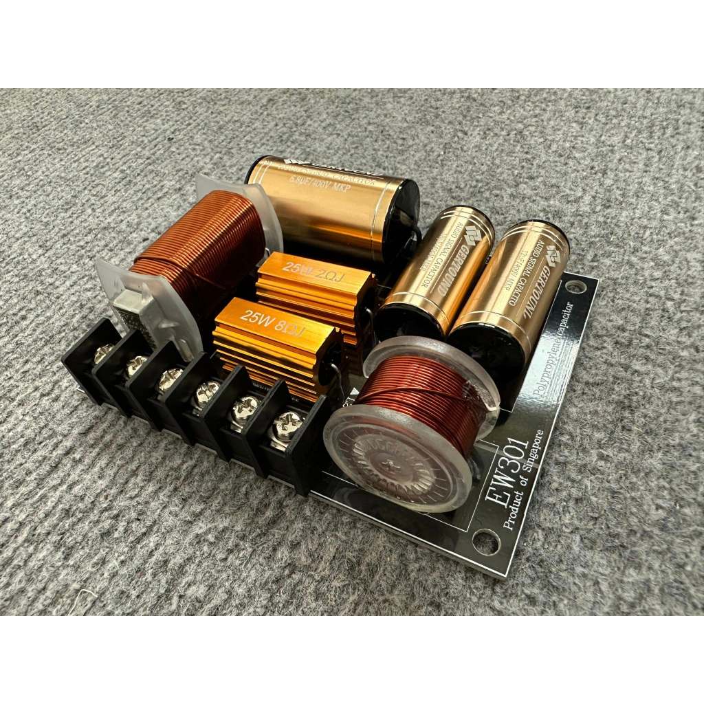 Mạch Phân Tần 2 ĐườngTiếng EW301