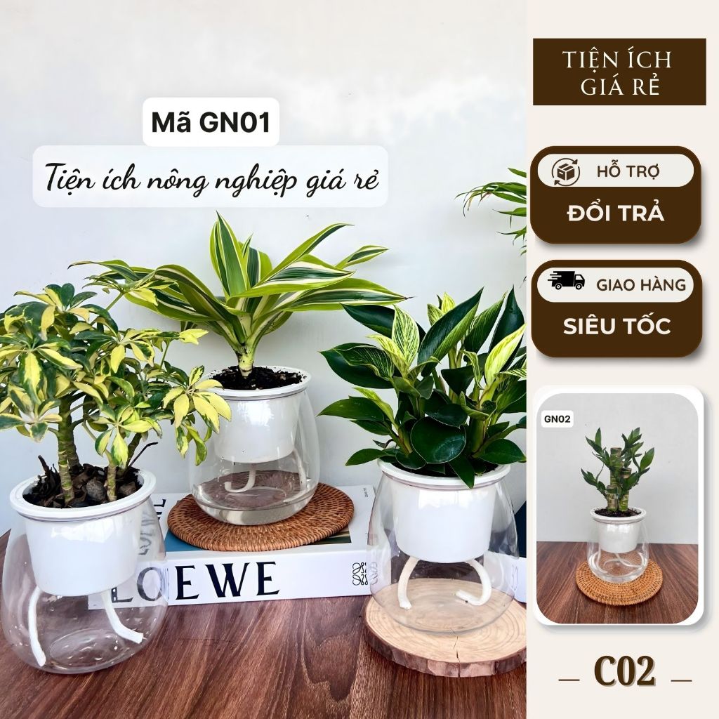 [COMBO 2] Chậu nhựa thuỷ sinh C02 tự tưới tiện lợi cho cây cảnh 11x13cm