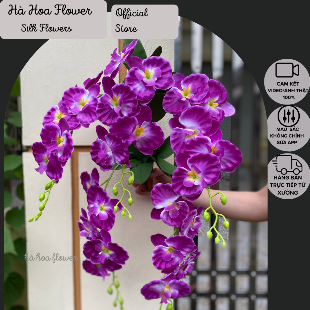 Giò Hoa Lan Hồ Điệp Giả Treo Tường Sẵn Móc Treo, Dài 80cm - Hà Hoa Flower