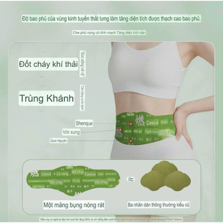 Combo 5 Miếng dán ngải cứu đốt mỡ bụng, giúp giữ dáng eo thon