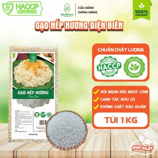 Gạo Nếp Nương Điện Biên 1kg