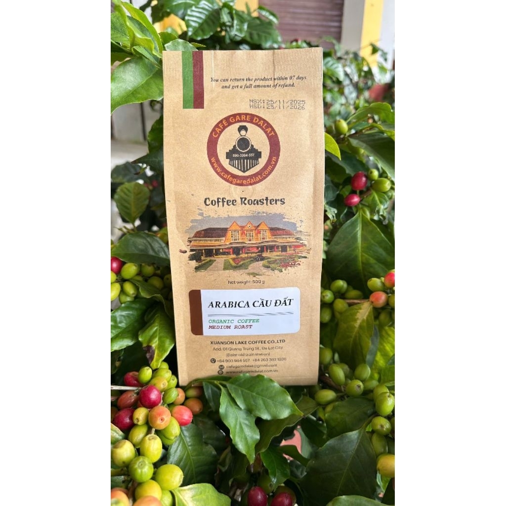 CAFE ARABICA CẦU ĐẤT - ĐÀ LẠT  500g