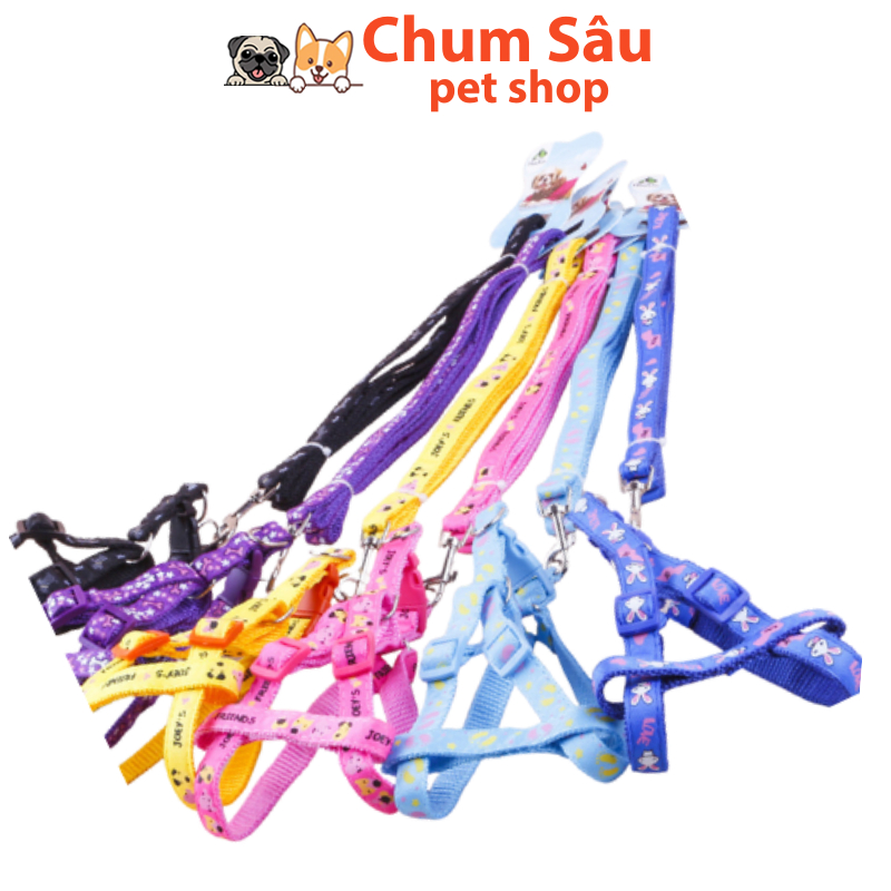 Dây Dắt 2 Lớp Cho Chó Mèo
