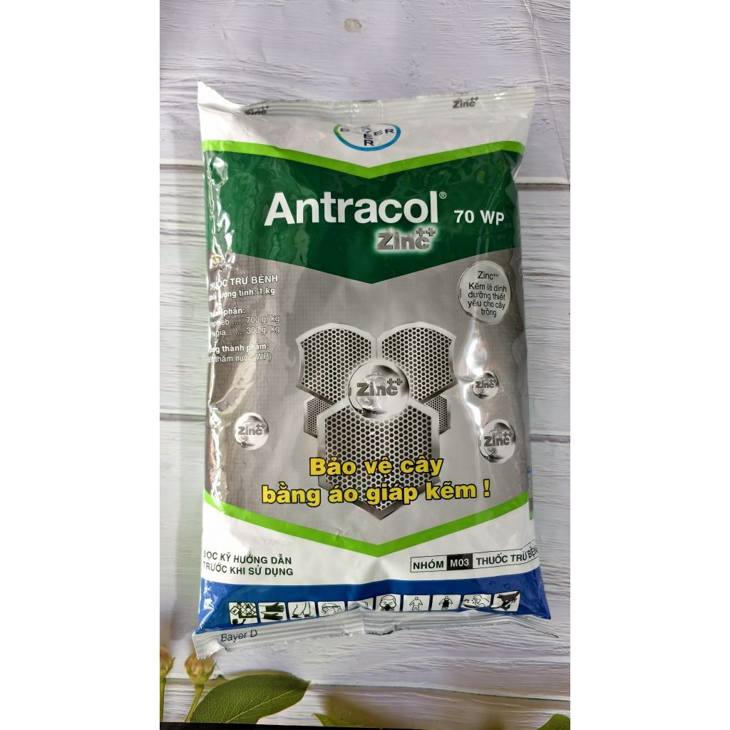 Antracol 1KG