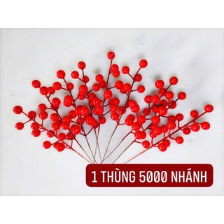 ĐÀO ĐỎ, ĐÀO ĐÔNG chùm