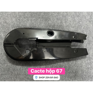 Cacte cho xe 67 -Win